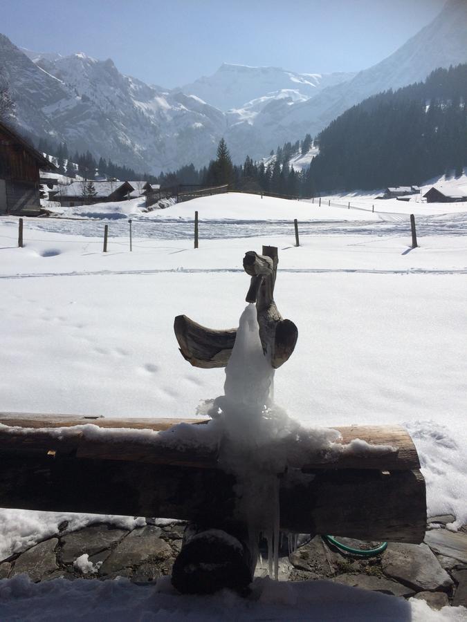 Bergdohle Apartment Adelboden Exterior photo