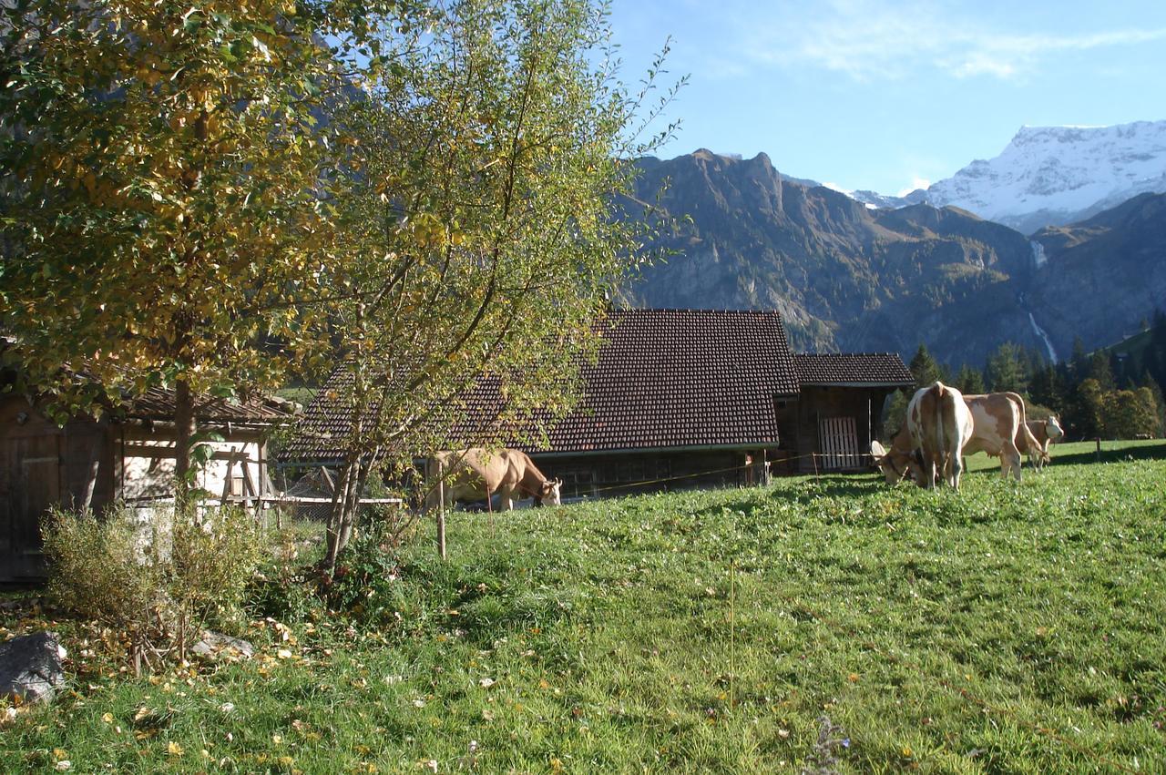 Bergdohle Apartment Adelboden Exterior photo